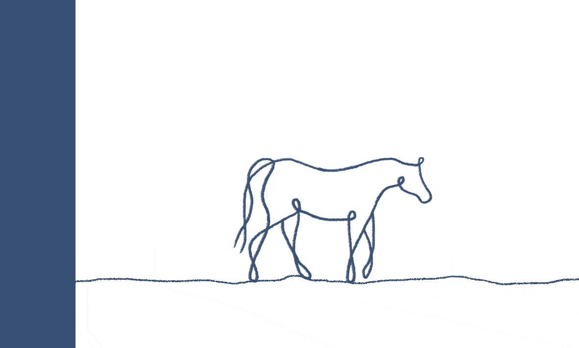 Animation eines laufenden Pferdes, das zuletzt in einen Anhänger steigt